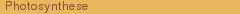 Photosynthese