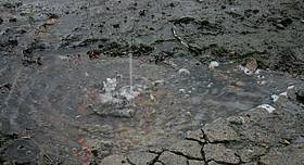 Boden verdichten bei regen